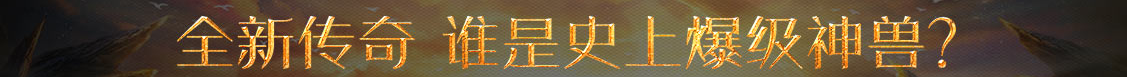 奉贤区新闻网